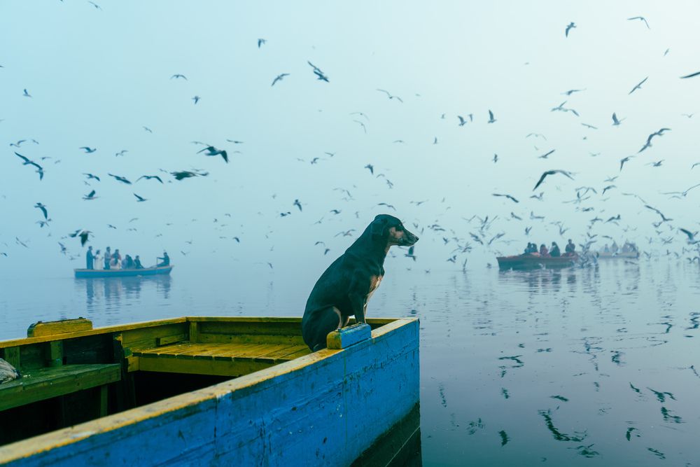 Photograph by Rishi Raj