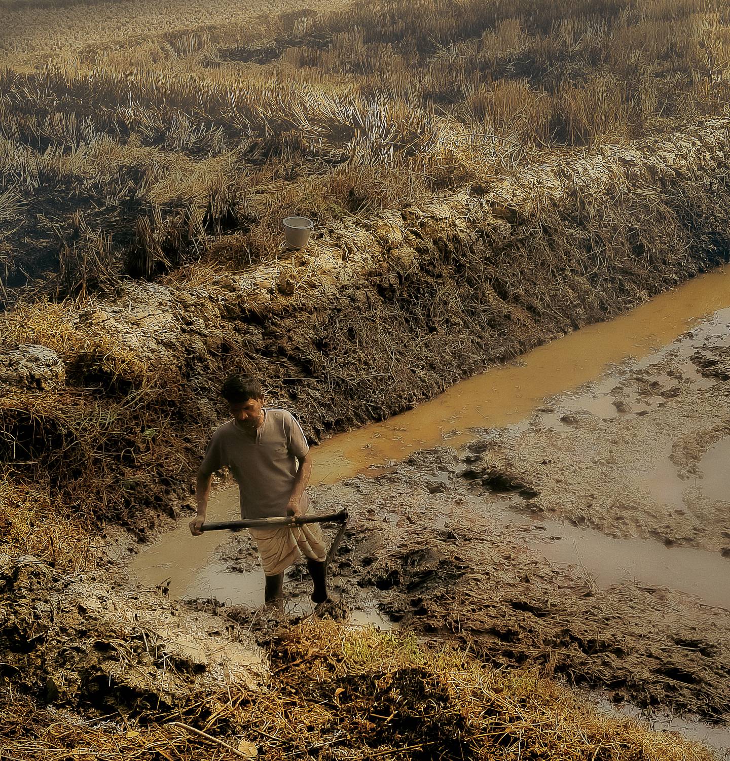 Фотография #13056100