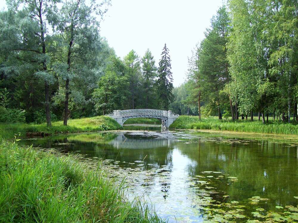 Photograph by Мигун Александра