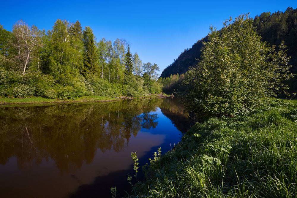 Утро на майской реке.
