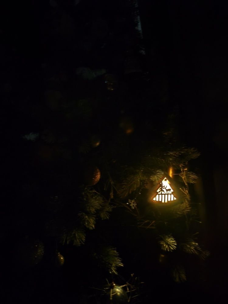 Photo #13056167