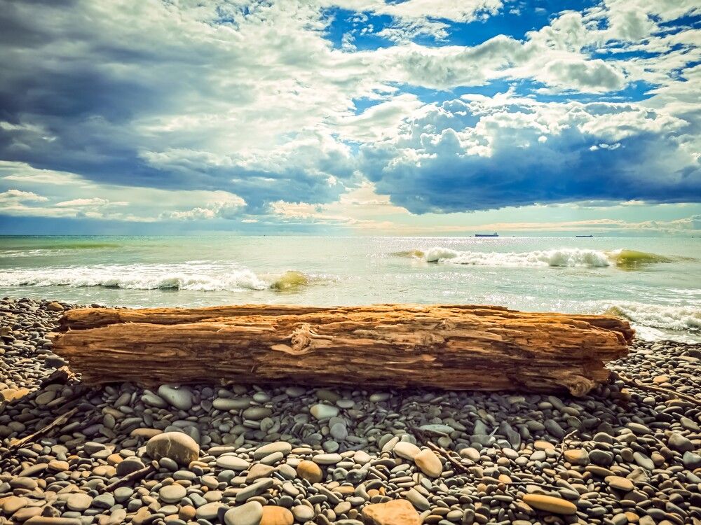 Photograph by Андрей Скрипниченко