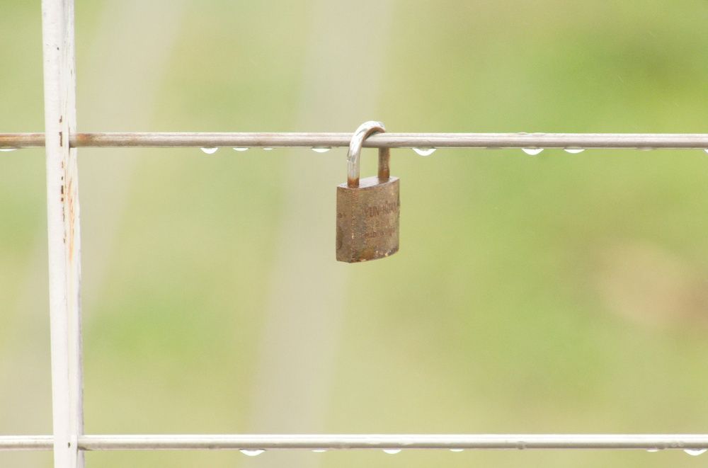 Photograph by Guillermo Topp