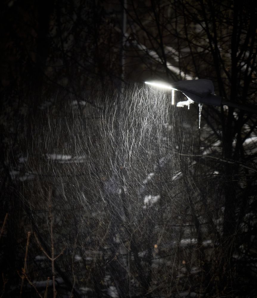 Photograph by Андрей Некрашевич