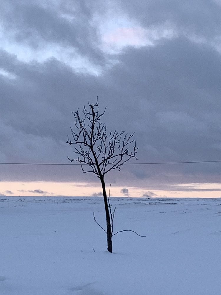 Фотография автора Ирина Шпаковская