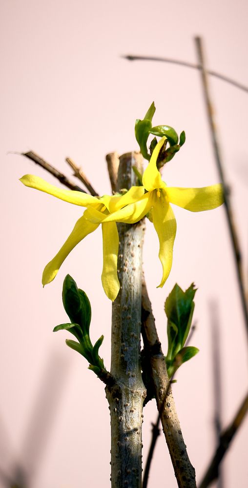 Photograph by Андрей Некрашевич