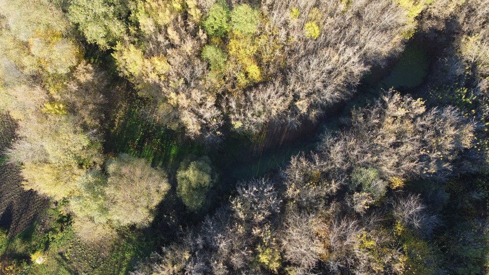 Photograph by Виталий Васильев