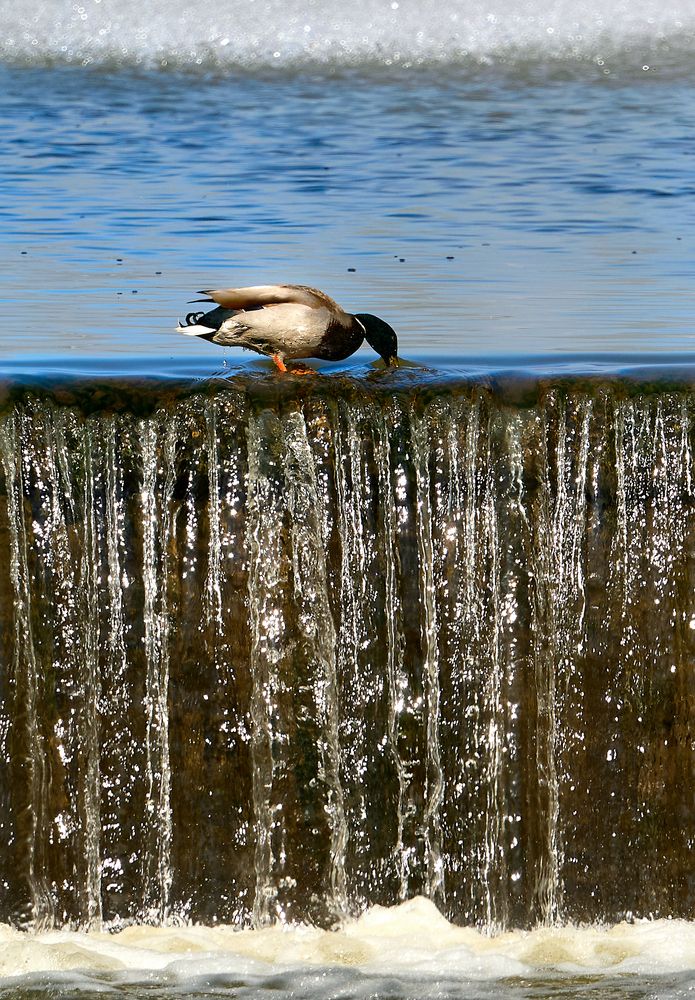 Photograph by Андрей Некрашевич