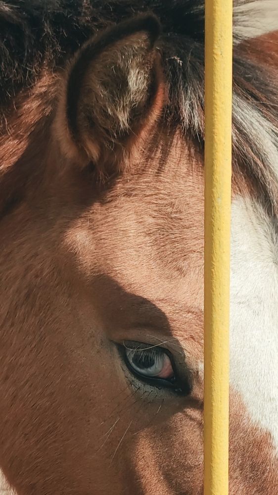 Photograph by Ирина Строкова