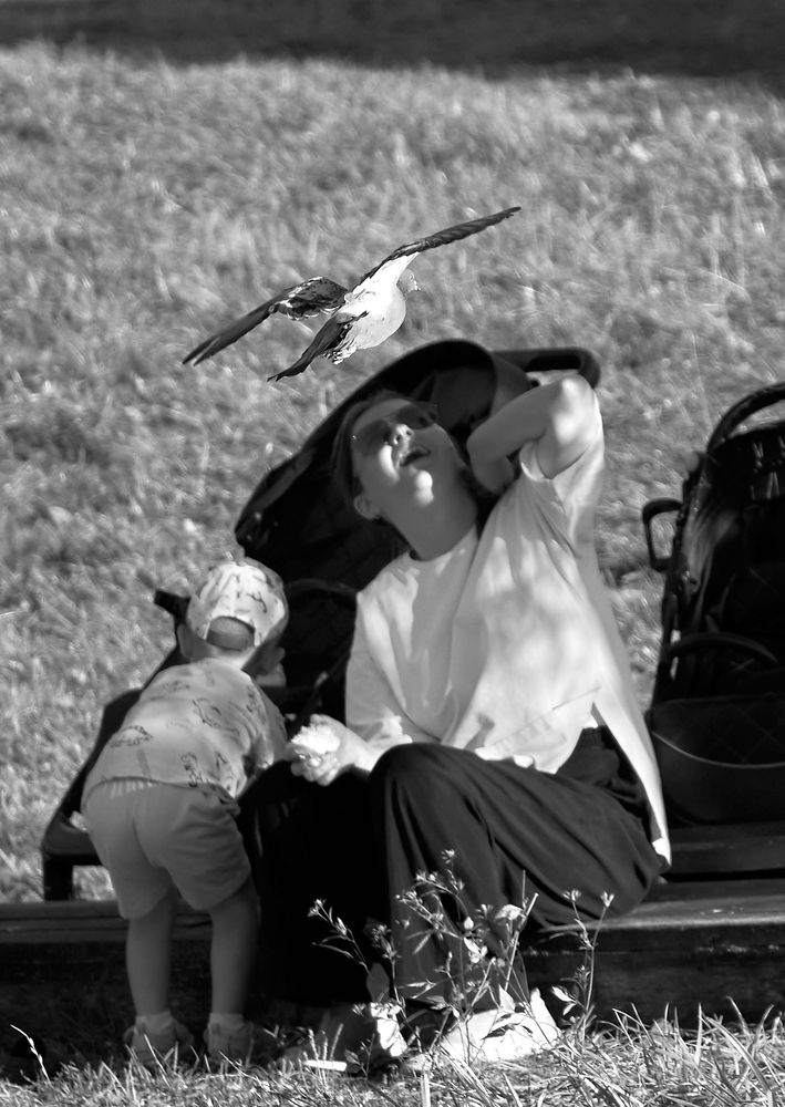 Photograph by Андрей Некрашевич