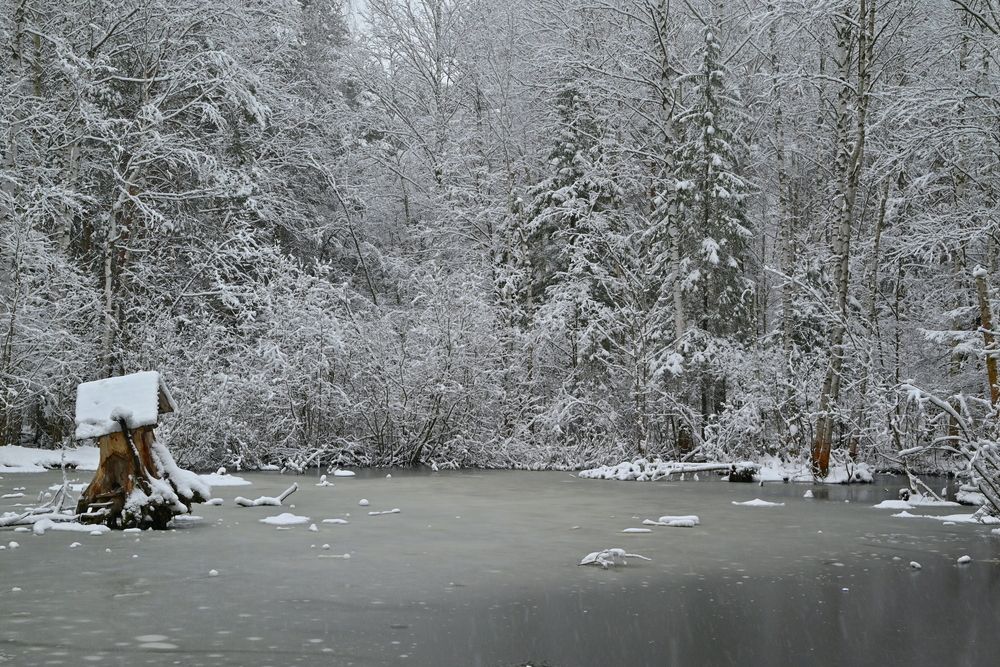 Photograph by Сергей Зубов