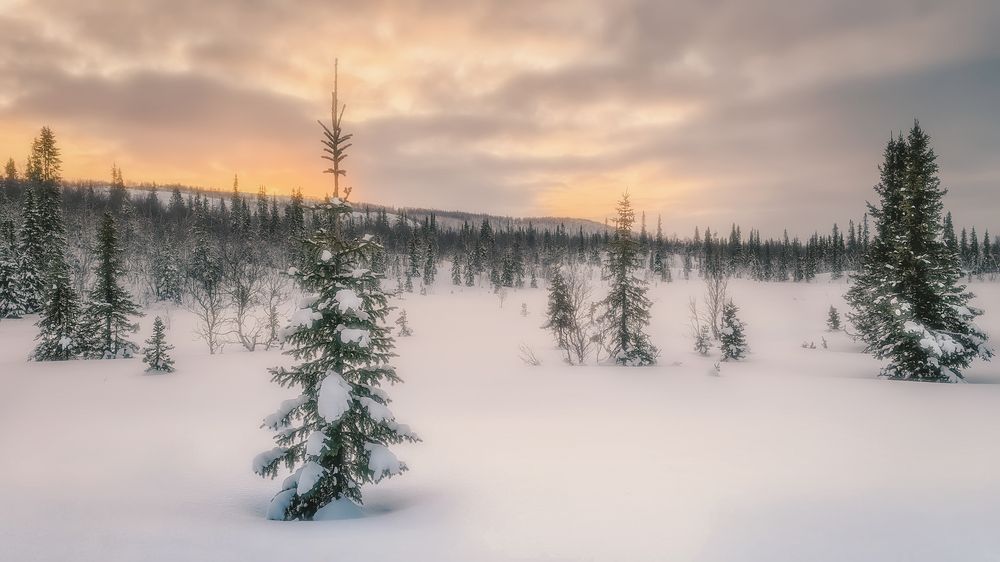 Февральский рассвет