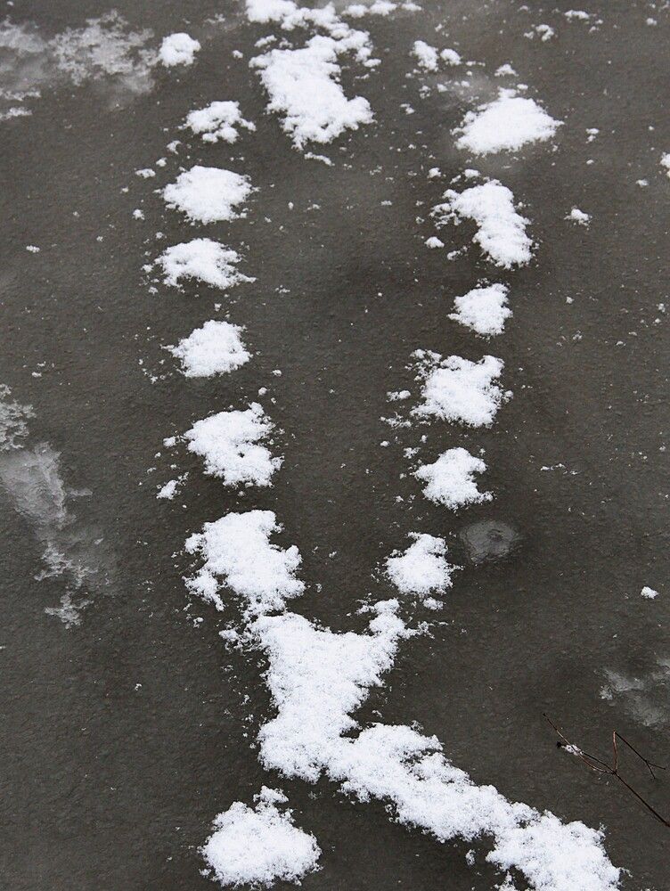 Photograph by Владимир Малёшин