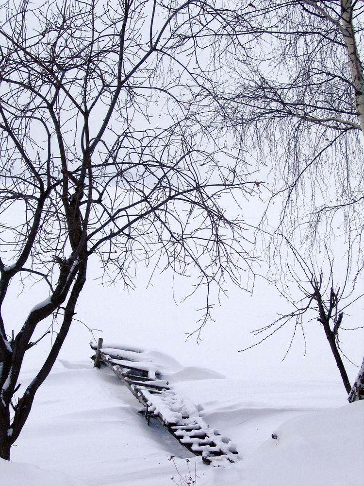 Фотография автора Герасимов Игорь