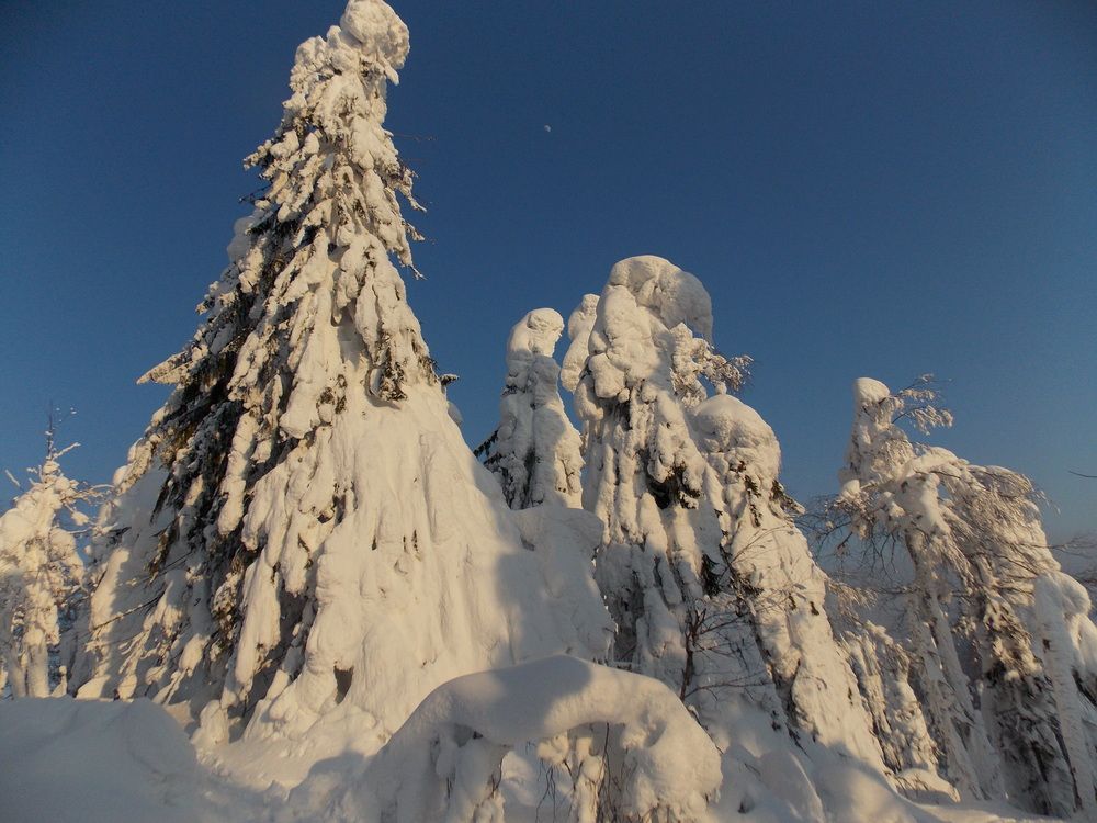 Фотография автора Алексей Власов
