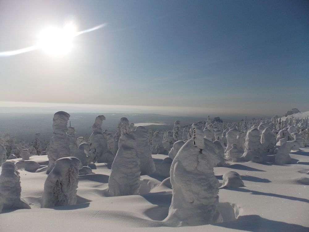 Фотография автора Алексей Власов
