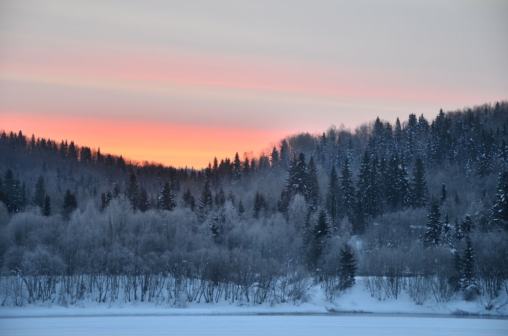 Фотография автора Алексей Власов