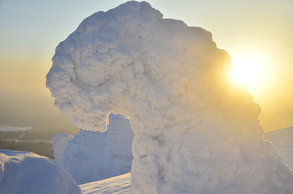 Фотография автора Алексей Власов