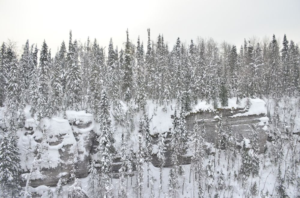 Фотография автора Алексей Власов