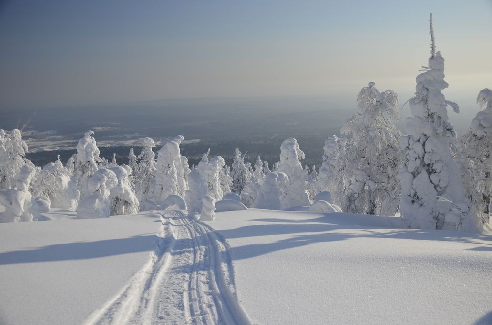Фотография автора Алексей Власов