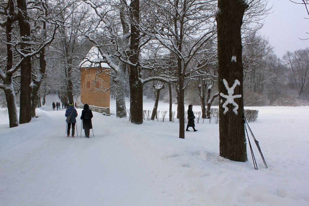 Photograph by Olga Bagaeva