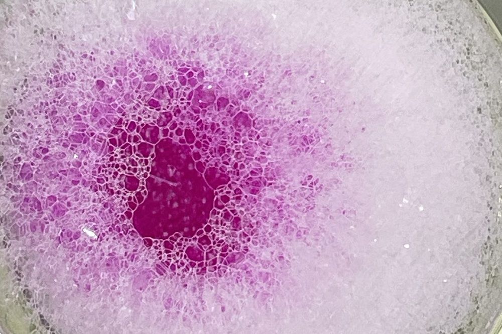 Photograph by Евгения Ковригина