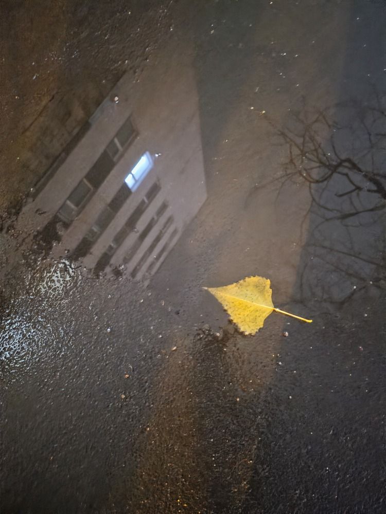 Photograph by Лилия Фролова