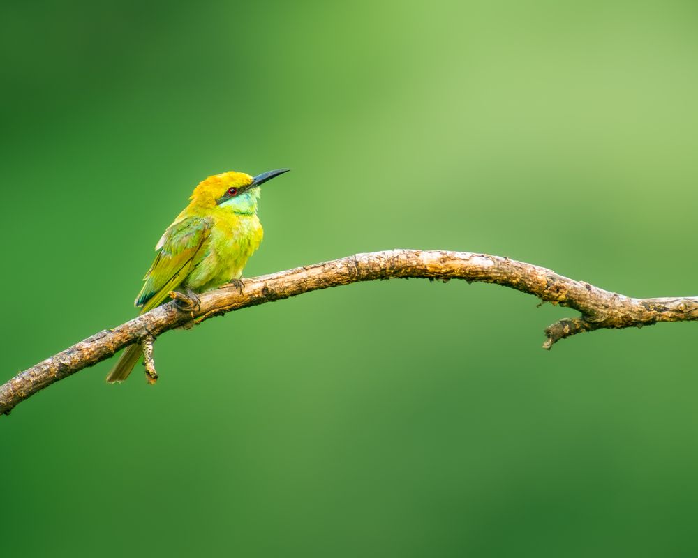 Stillness After the Storm