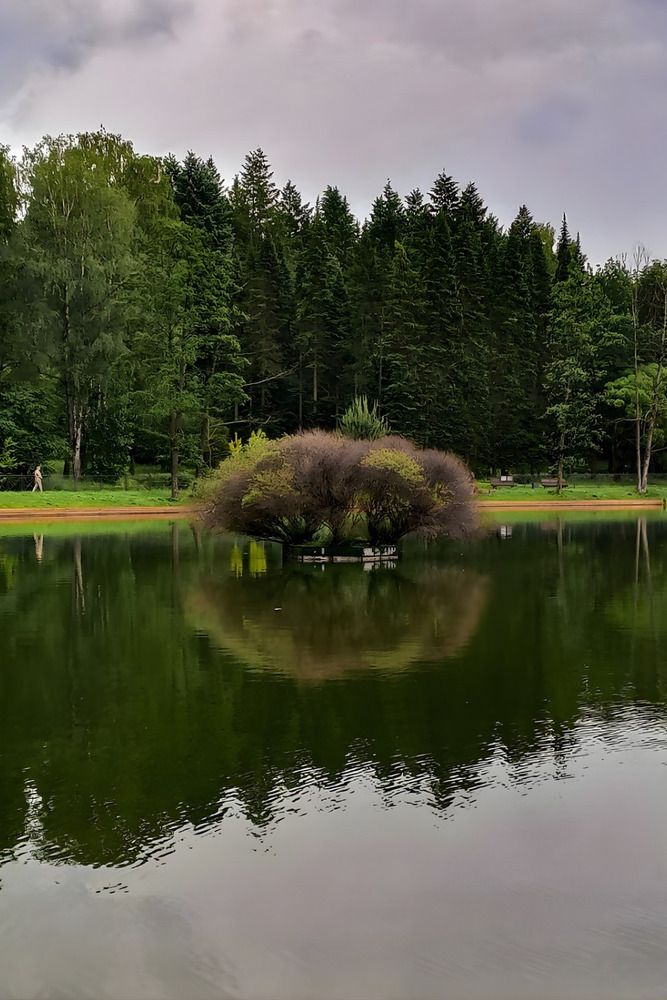 Photograph by Надежда Ефименко