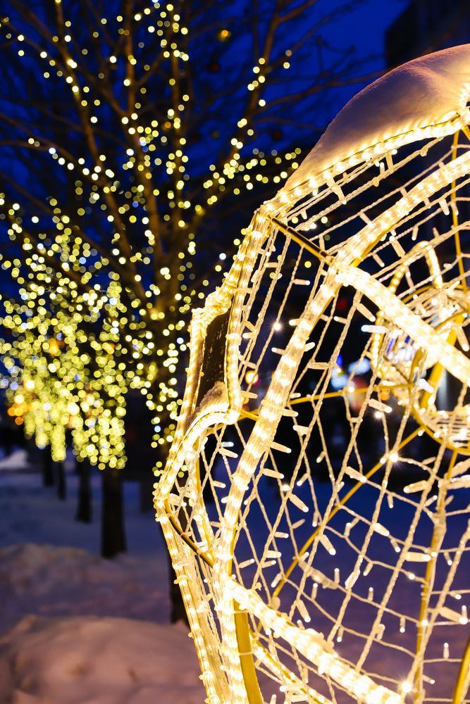 Фотография автора Дарина Фельдман