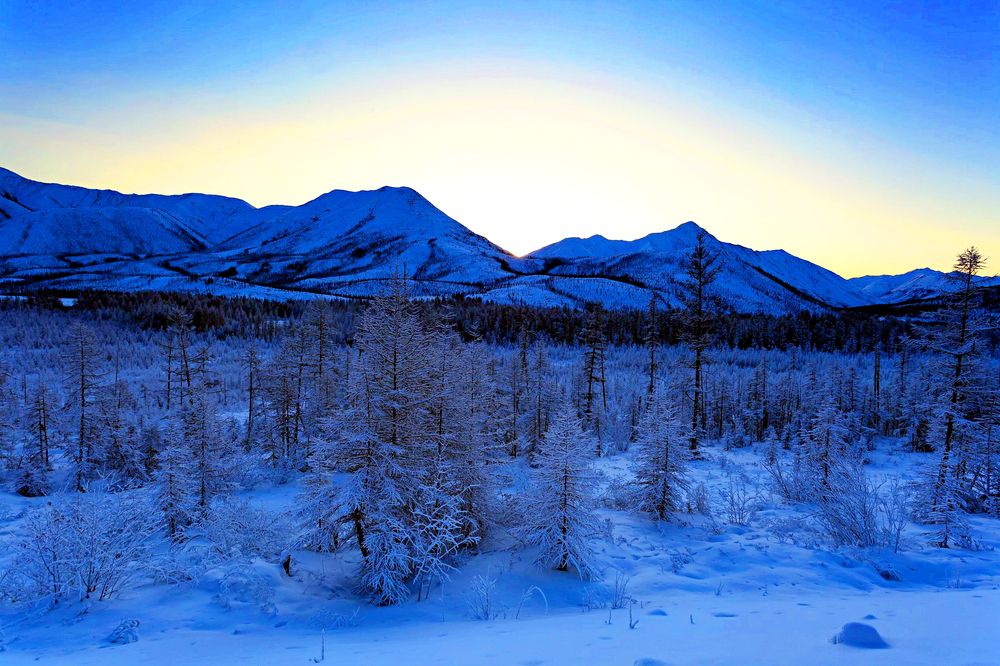 Зимний рассвет.