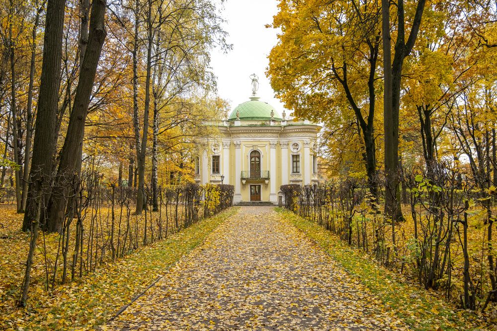 Photograph by Денис Бородич