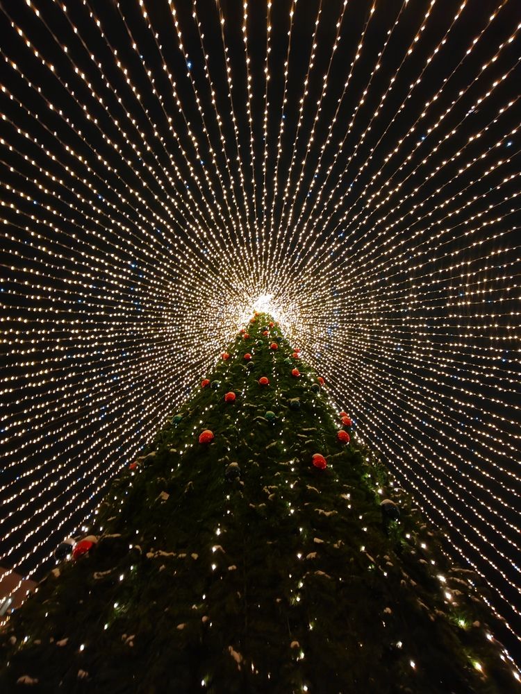 Photograph by Ольга Рыбина