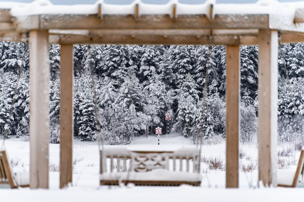 Photograph by Андрей Вешняков