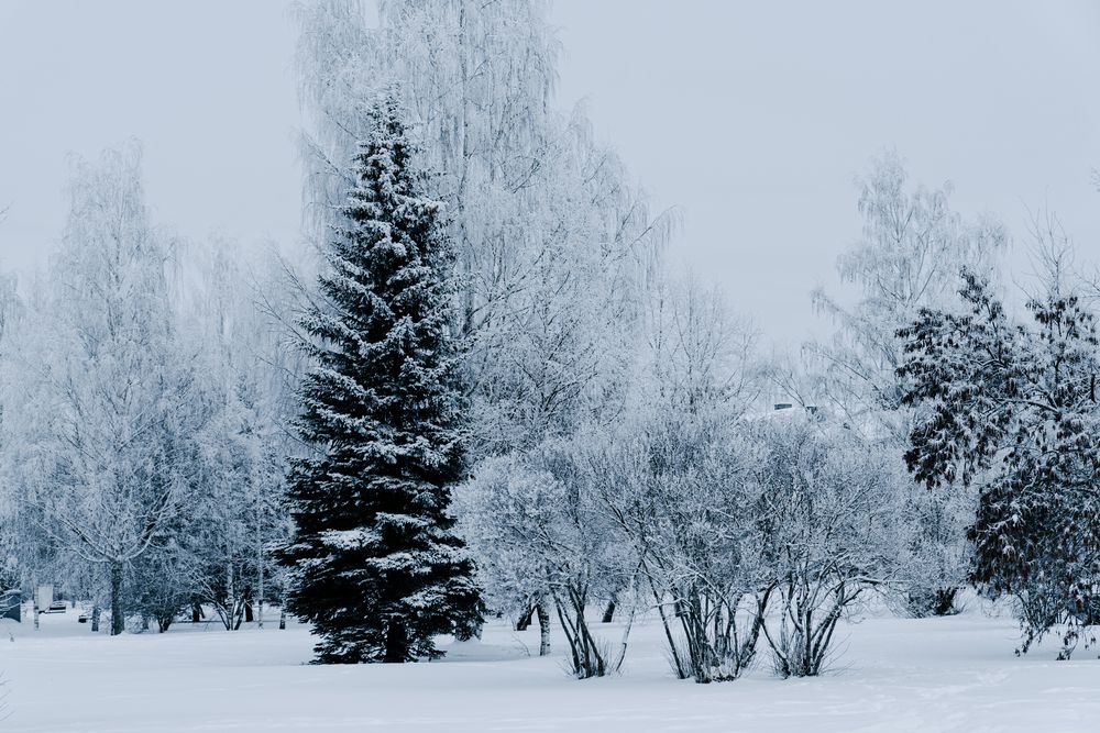 Photograph by Андрей Вешняков