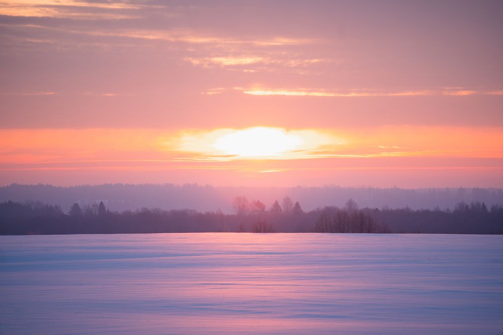 Photograph by Андрей Вешняков