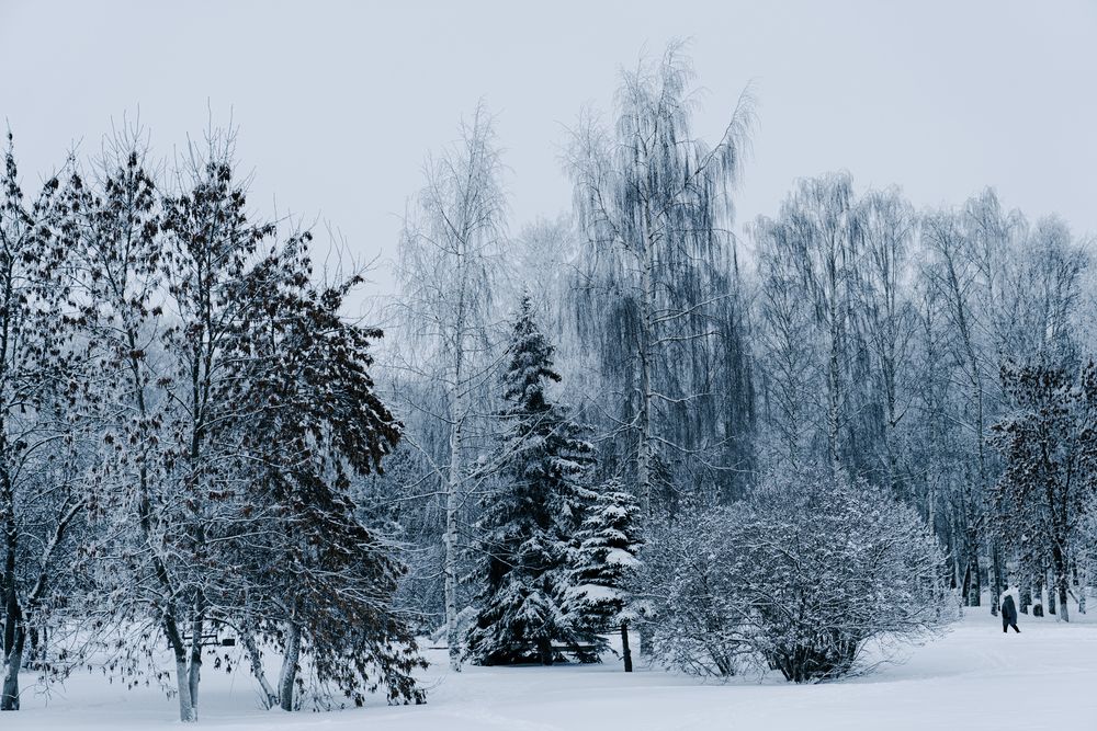 Photograph by Андрей Вешняков