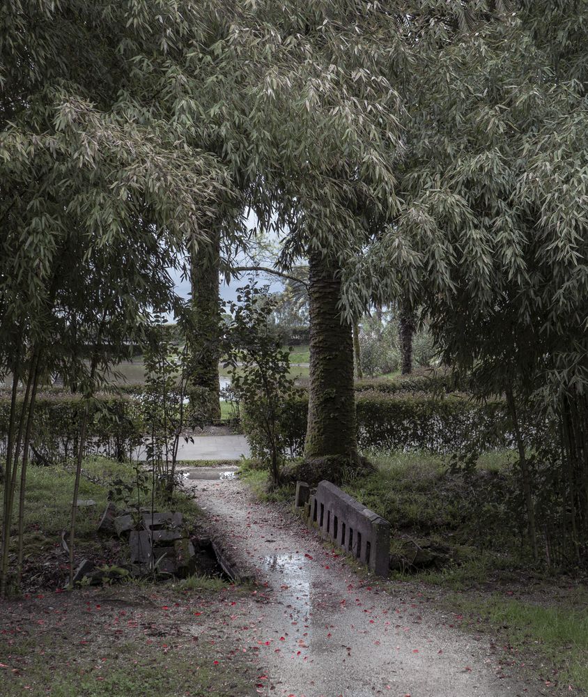 Photograph by Ilyin Evgeny