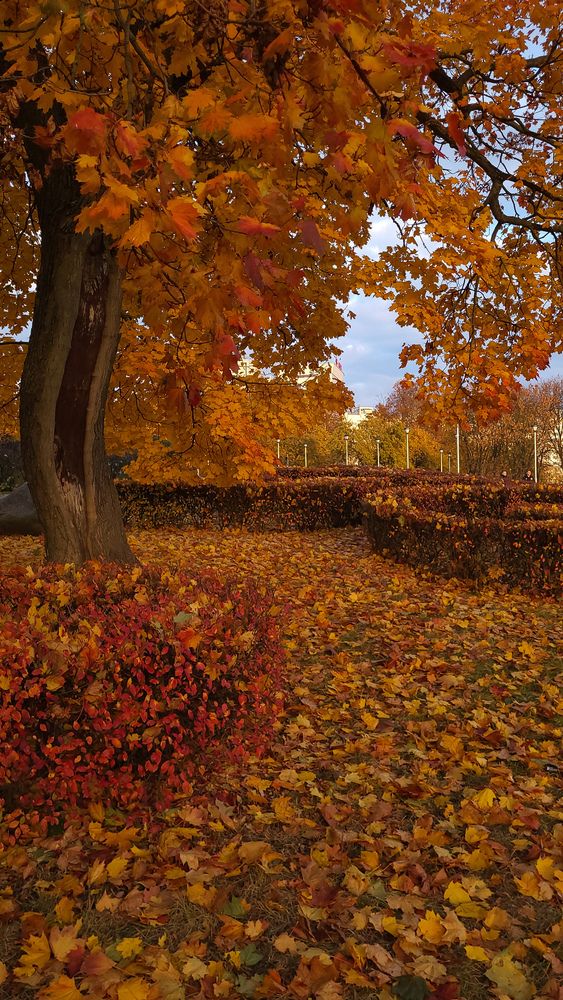 Фотография автора Татьяна Прашкевич