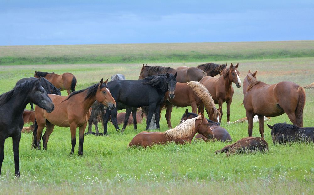 Майский день.