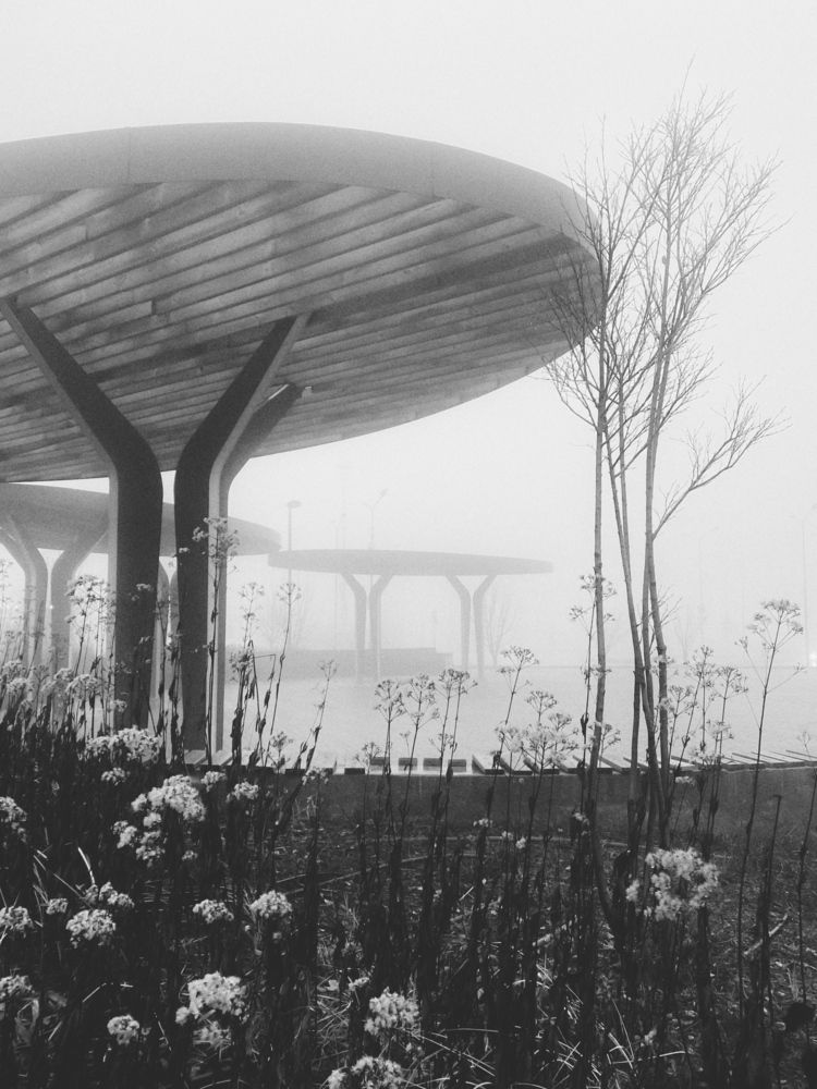 Фотография автора Наталья Мыкольникова