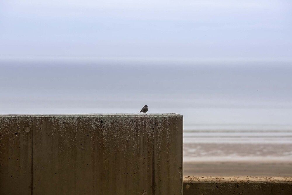 Photograph by Наталья Катюжанская