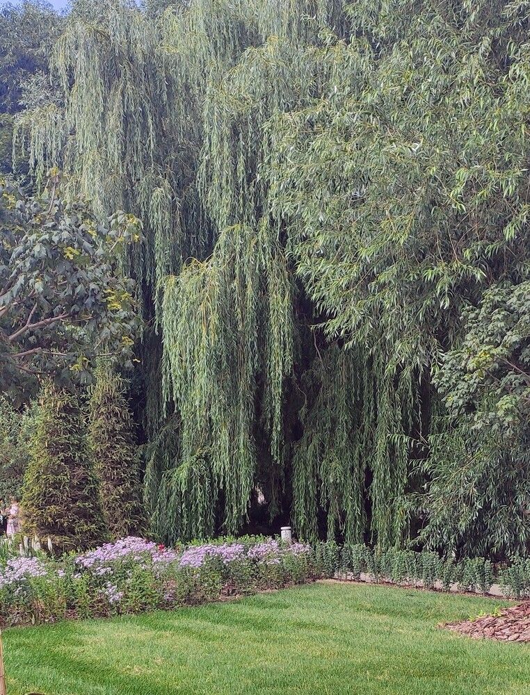 Photograph by Анна Андреевна