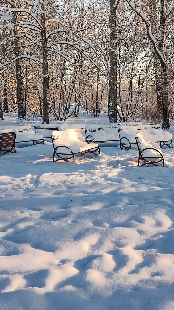 Photograph by Людмила Сергеева