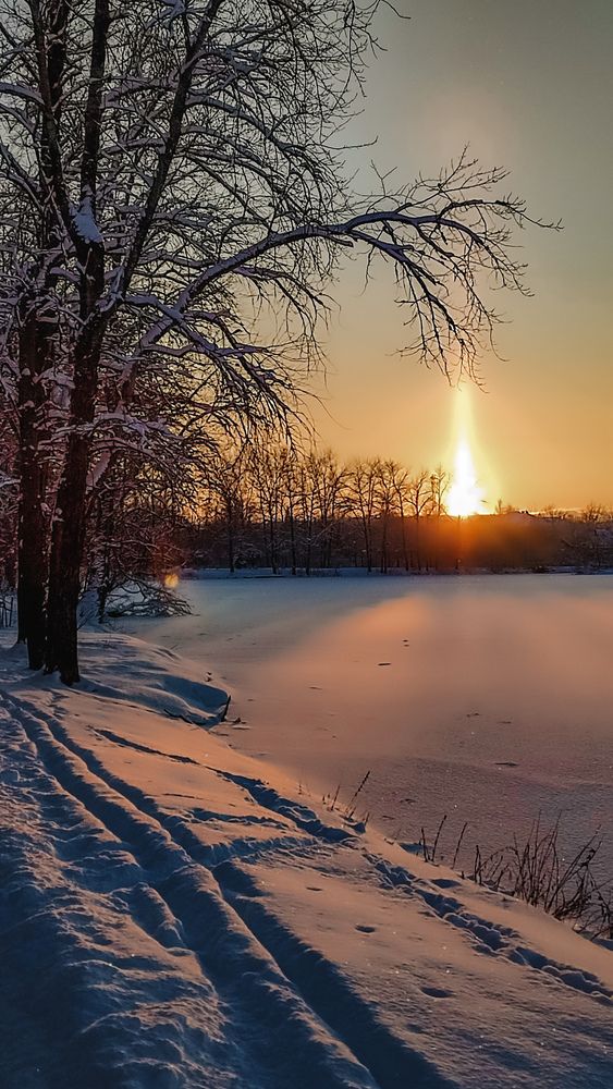 Photograph by Людмила Сергеева