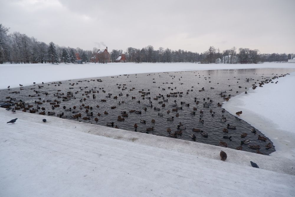 Photograph by Надежда Ульянова