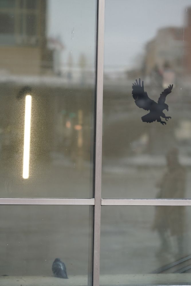 Photograph by Александр Кочергин