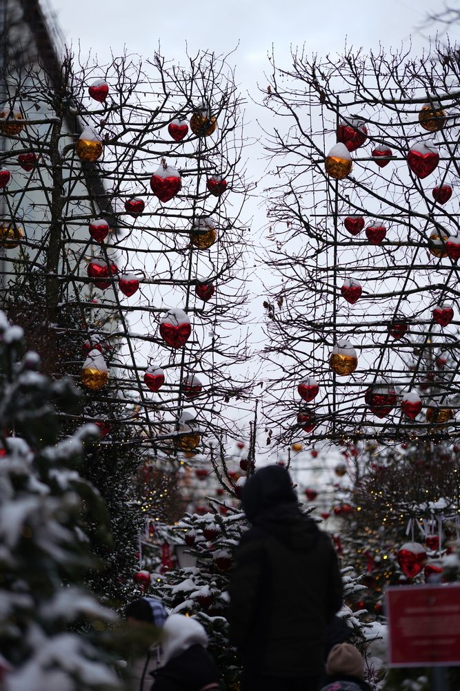 Photograph by Александр Кочергин