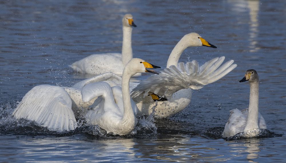 Photograph by Евгений Санин