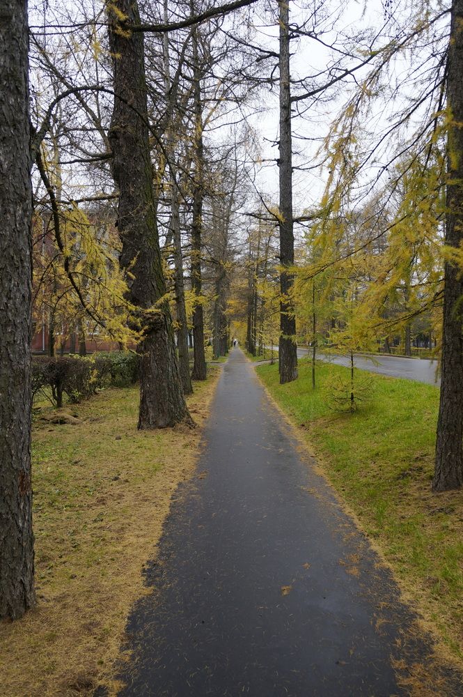 Фотография автора Юрий Еремин